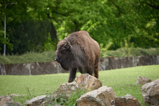Přeprava v ČR a EU: Klíčové trendy a výzvy pro 2024